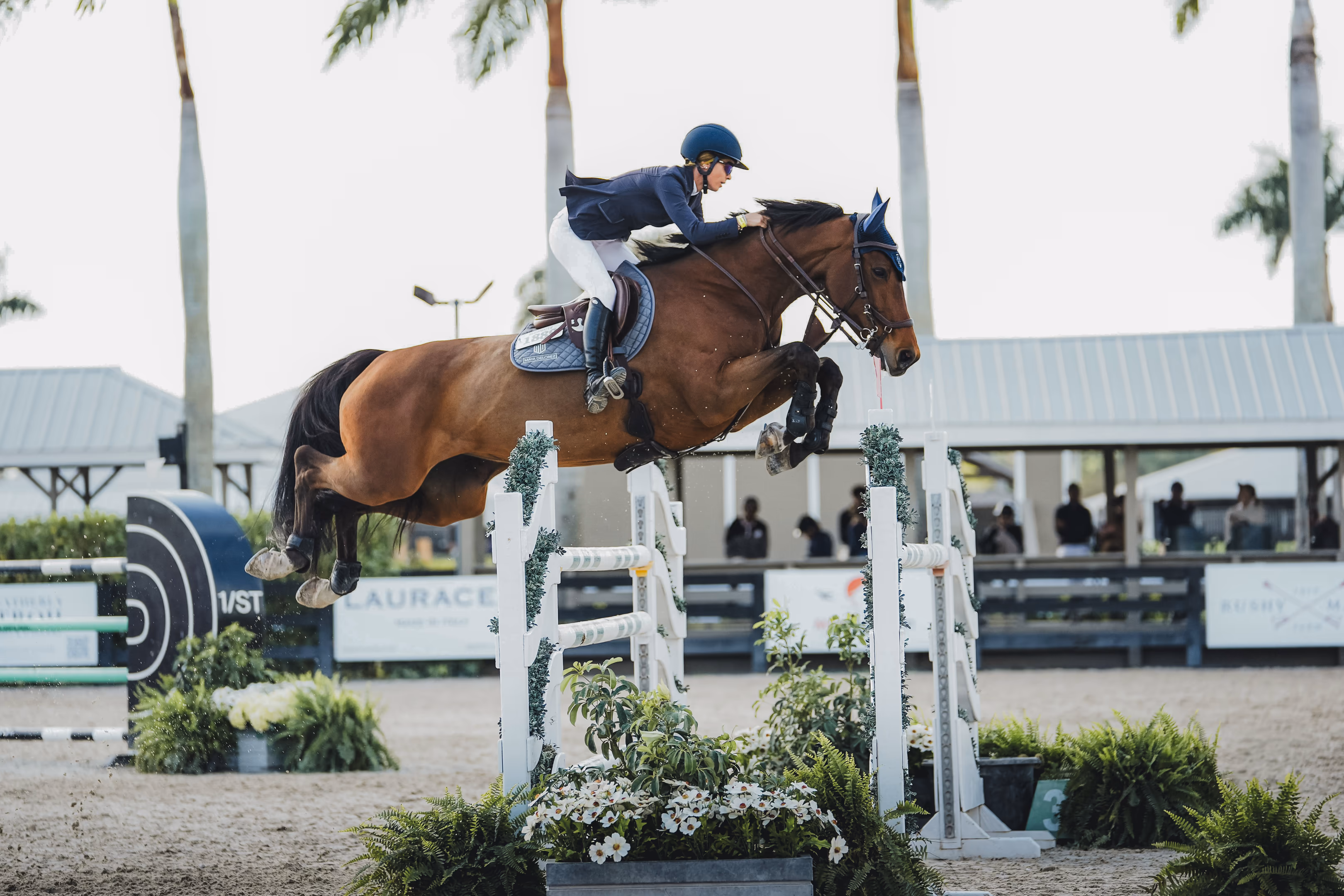 Show jumping