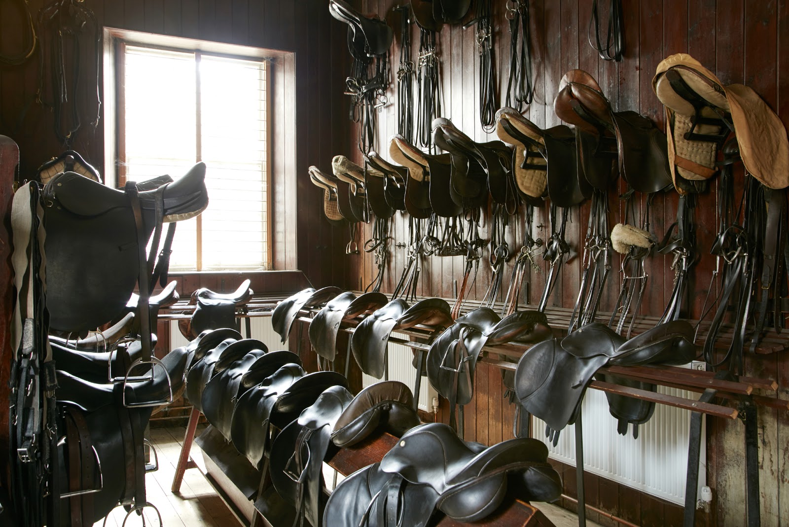 Saddles and bridles in a tack room