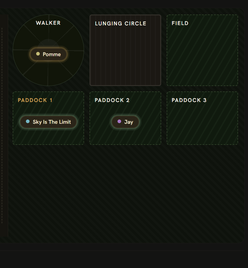 Walker, lunging circle and paddocks